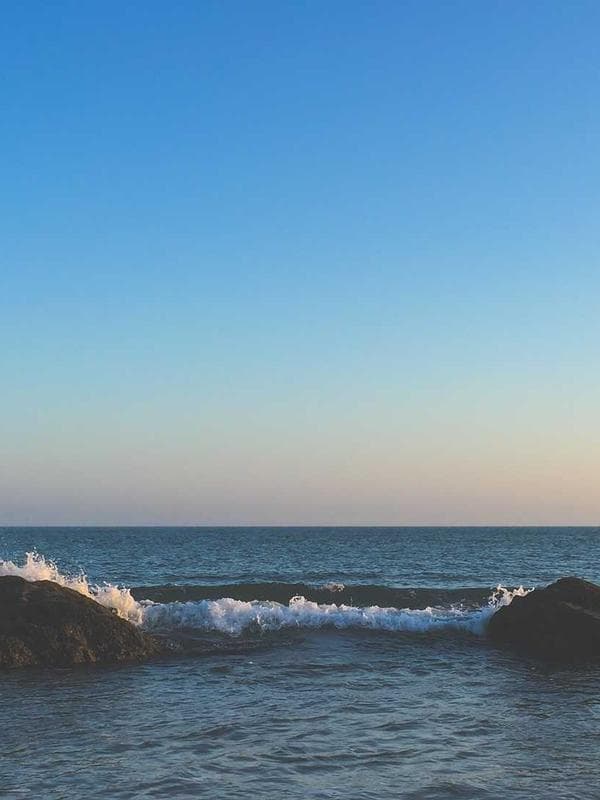 Dunkler Sleeve Blackwork